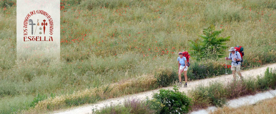 Salidas al Camino de Santiago de la asociación de Estella