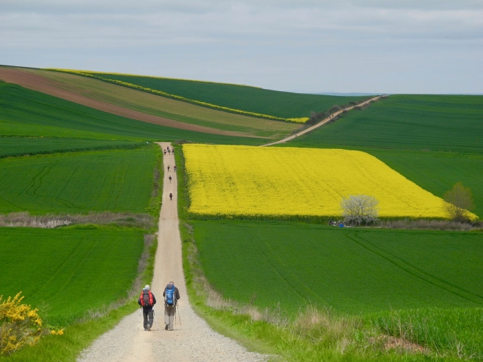 Horizonte en el Camino, fotografía ganadora del segundo premio del concurso Los colores del Camino