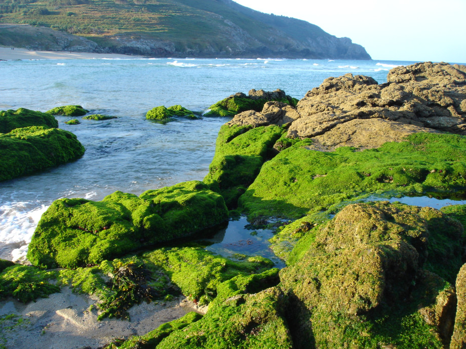 playa mar de fora fisterra