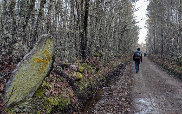 El Camino de Santiago desde América latina