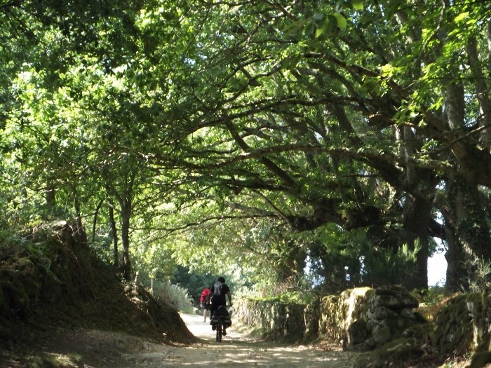 Camino de Santiago en bicicleta