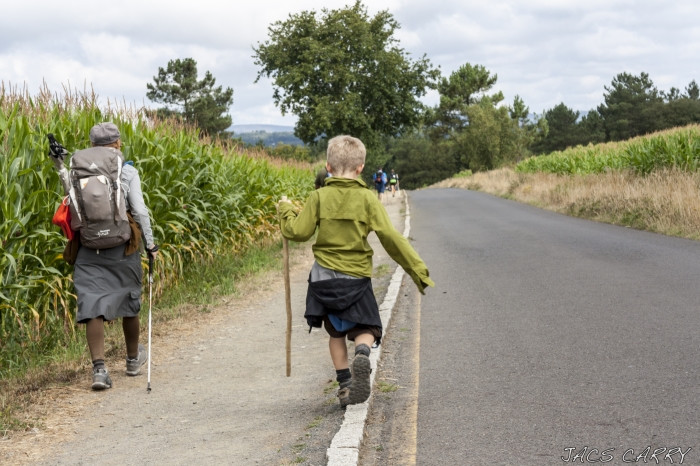 Camino de Santiago con niños