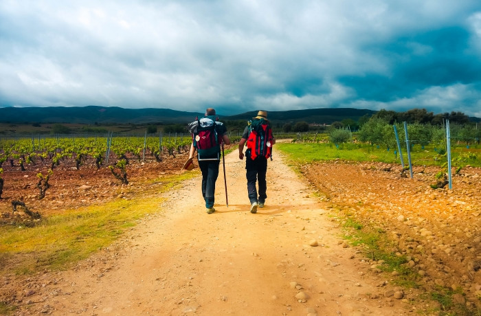 Peregrinos en el Camino de Santiago Francés