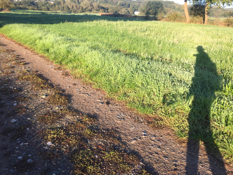 Jesús María Navarro Ibáñez durante su Camino de Santiago