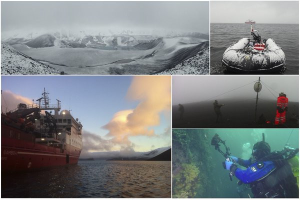 antarctic campaign pictures