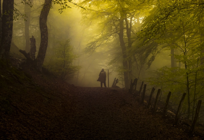 Niebla en Roncesvalles, fotografía ganadora del concurso Los colores del Camino