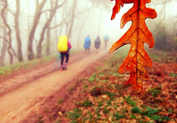 Cor em movimento, tercer premio del concurso de fotografía Los colores del Camino