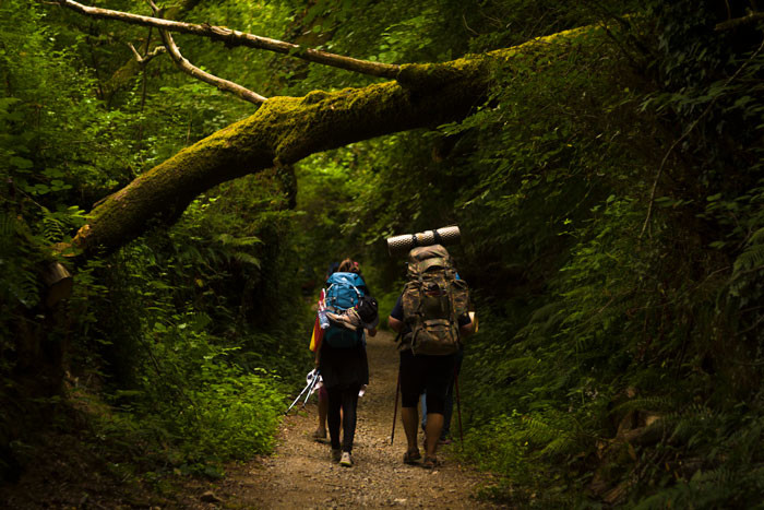 Concurso fotográfico Los Colores del Camino