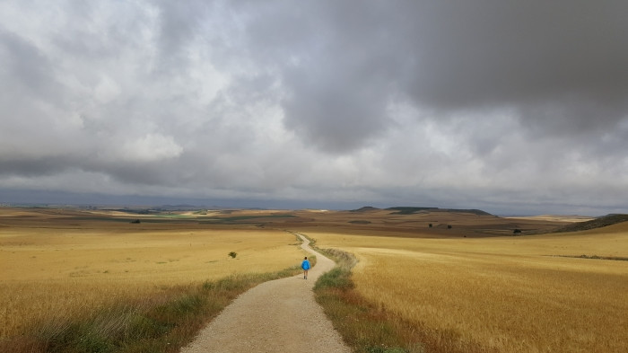 Concurso Los Colores del Camino