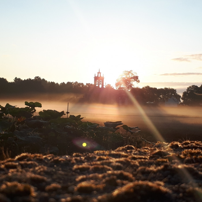 Cuál es la etapa más bonita del Camino de Santiago