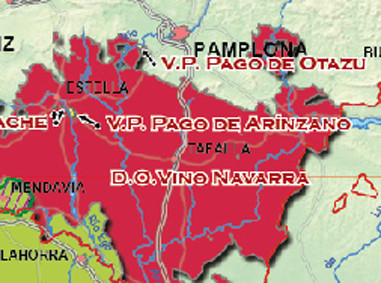 vino navarra