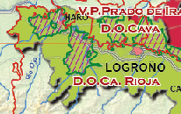 rioja vino