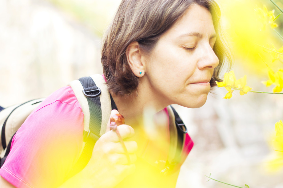 como triunfar en el concurso fotografico del camino de santiago