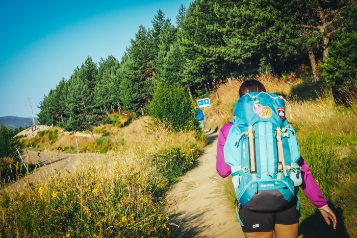 Camino de Santiago