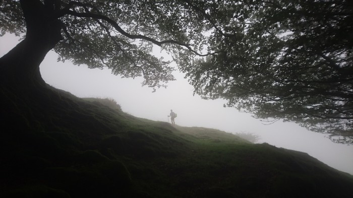 la fuerza en el camino de santiago 