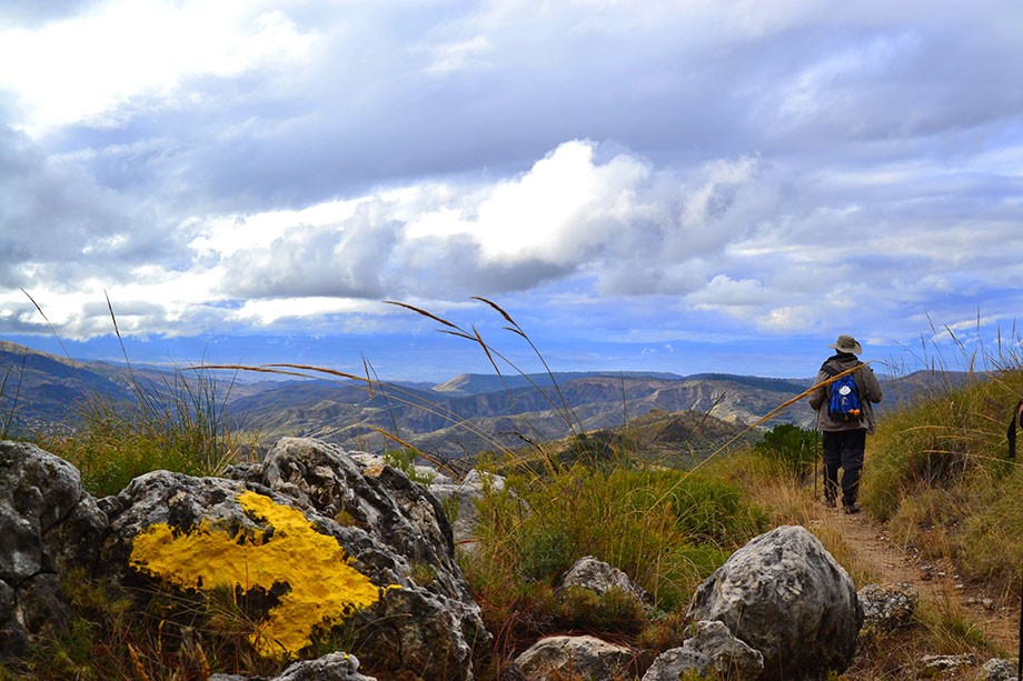 Los Caminos de Santiago