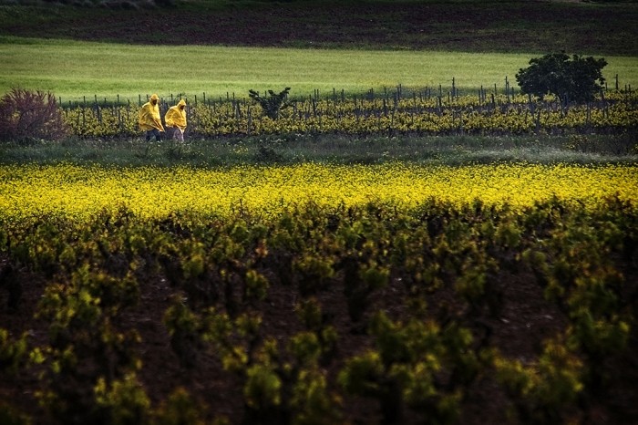 Chubasquero, imprescindible en la mochila del Camino de Santiago en primavera