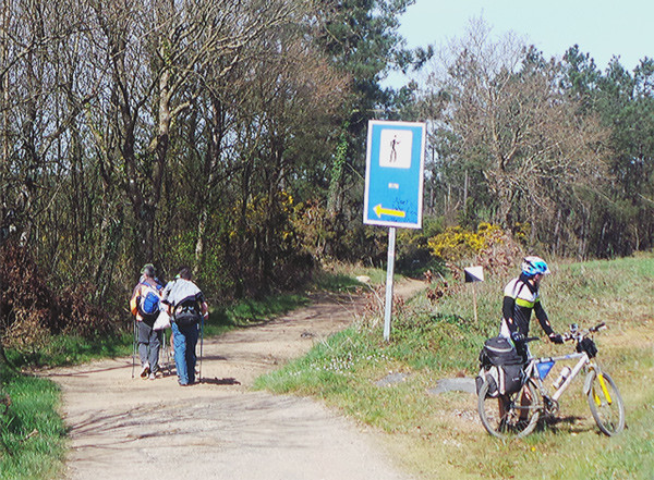 transporte camino de santiago