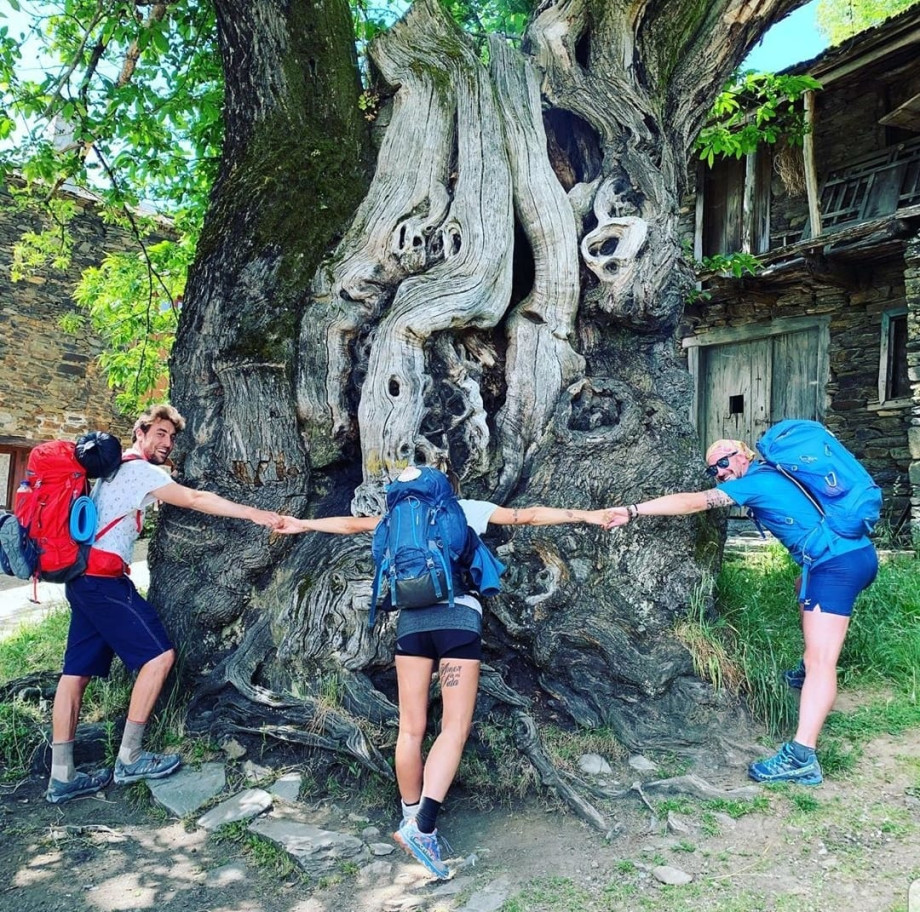 Pilgrims hugging Ramil's chesnut tree upon their arrival at Triacastela