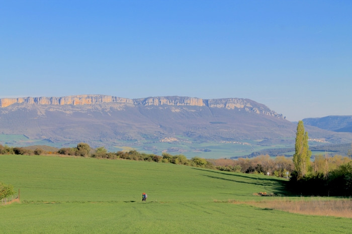 Qué Ruta del Camino de Santiago elegir