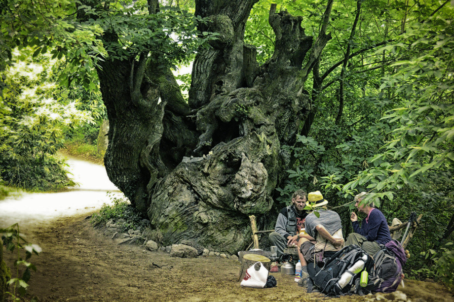 camino de Santiago