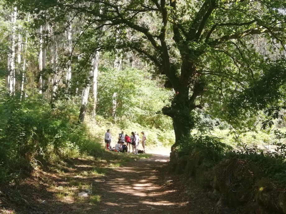 Descanso a la sombra en el Camino de Santiago