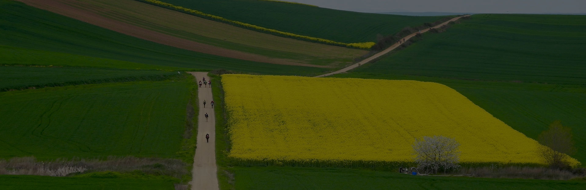 Transporte de mochilas en el Camino de Santiago