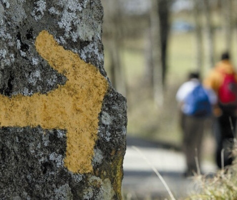 The Camino de Santiago in a week: where to begin