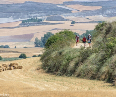Tips to beat the heat on the Camino de Santiago