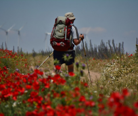 Spring, the best time to do the Camino de Santiago