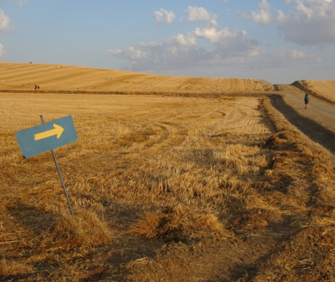 Caminho de Santiago, melhor sozinho ou acompanhado?