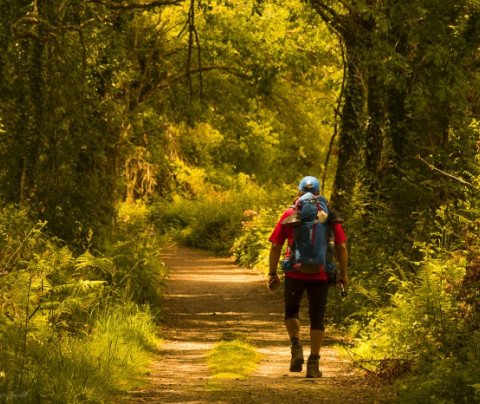 Preparación física para el Camino de Santiago