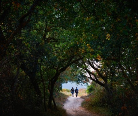 Motivos para hacer el Camino de Santiago en 2022