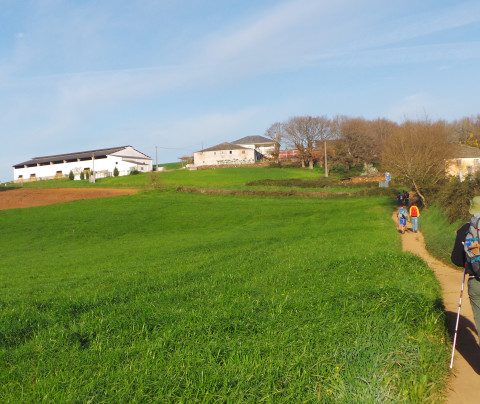 Guía del Camino Francés: de Sarria a Santiago