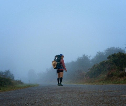 El Xacobeo reactiva el Camino de Santiago