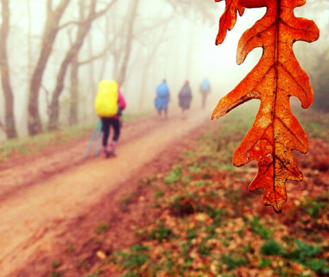 Tips for the Camino de Santiago in autumn