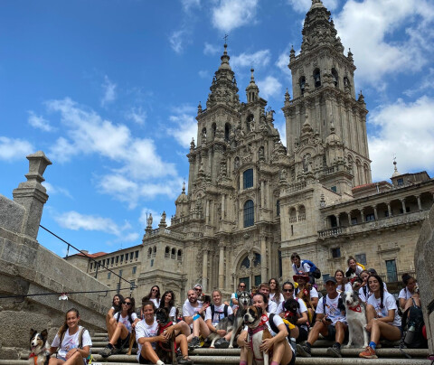 Camino solidario a cuatro patas