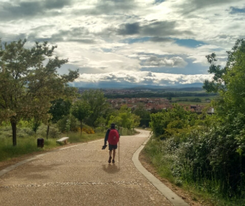 El Camino de Santiago desde América Latina