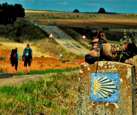 Razones para hacer el Camino de Santiago
