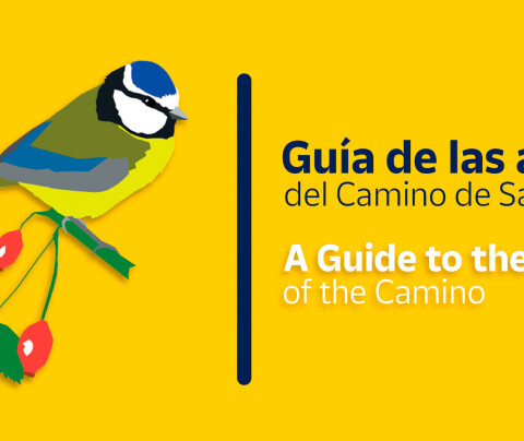 Guía de aves del Camino de Santiago