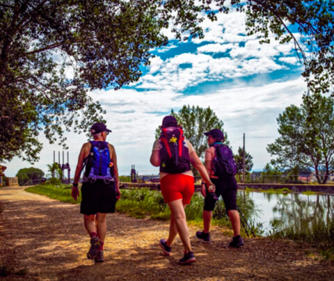 Camino de Santiago para jóvenes