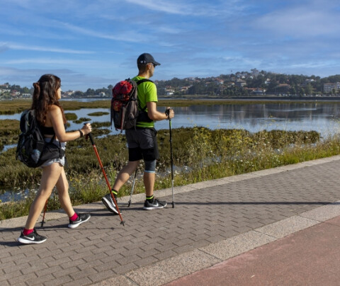 Camino de Santiago para principiantes