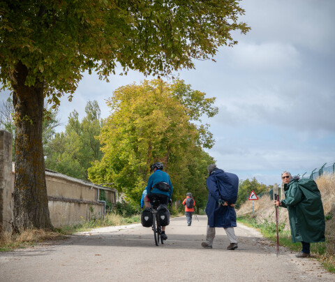 What is the weather like on the Camino de Santiago?