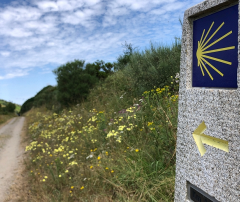 Un Camino de Santiago de récord