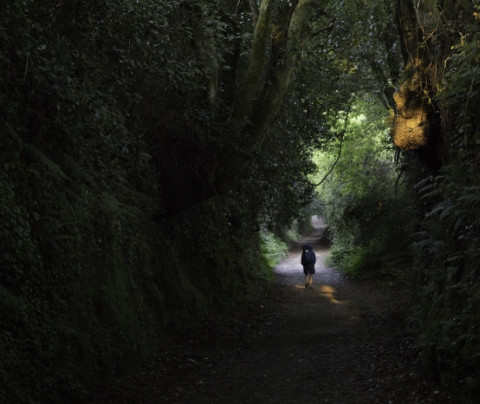 Intuición En la cabeza de esquina Diez consejos si vas a hacer sol@ el Camino de Santiago