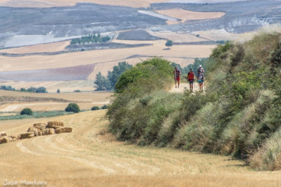 Tips to beat the heat on the Camino de Santiago