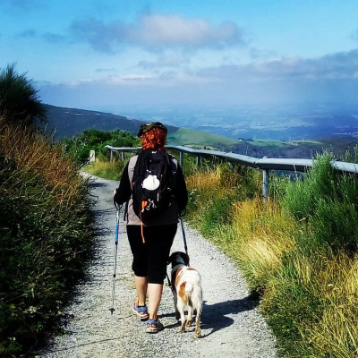 The Camino de Santiago with your dog