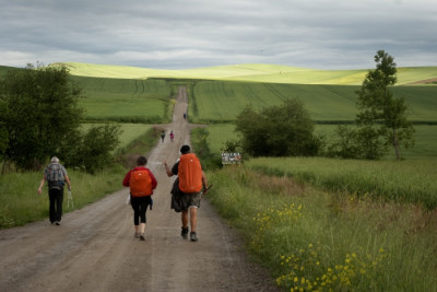 Cosas que debes saber si vas a planificar el Camino de Santiago por primera vez