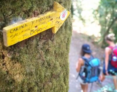 Which Camino de Santiago should you choose?