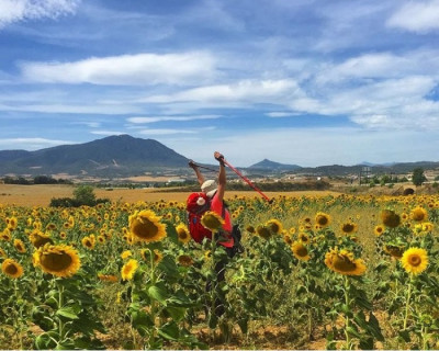 Consejos para un Camino de Santiago sostenible